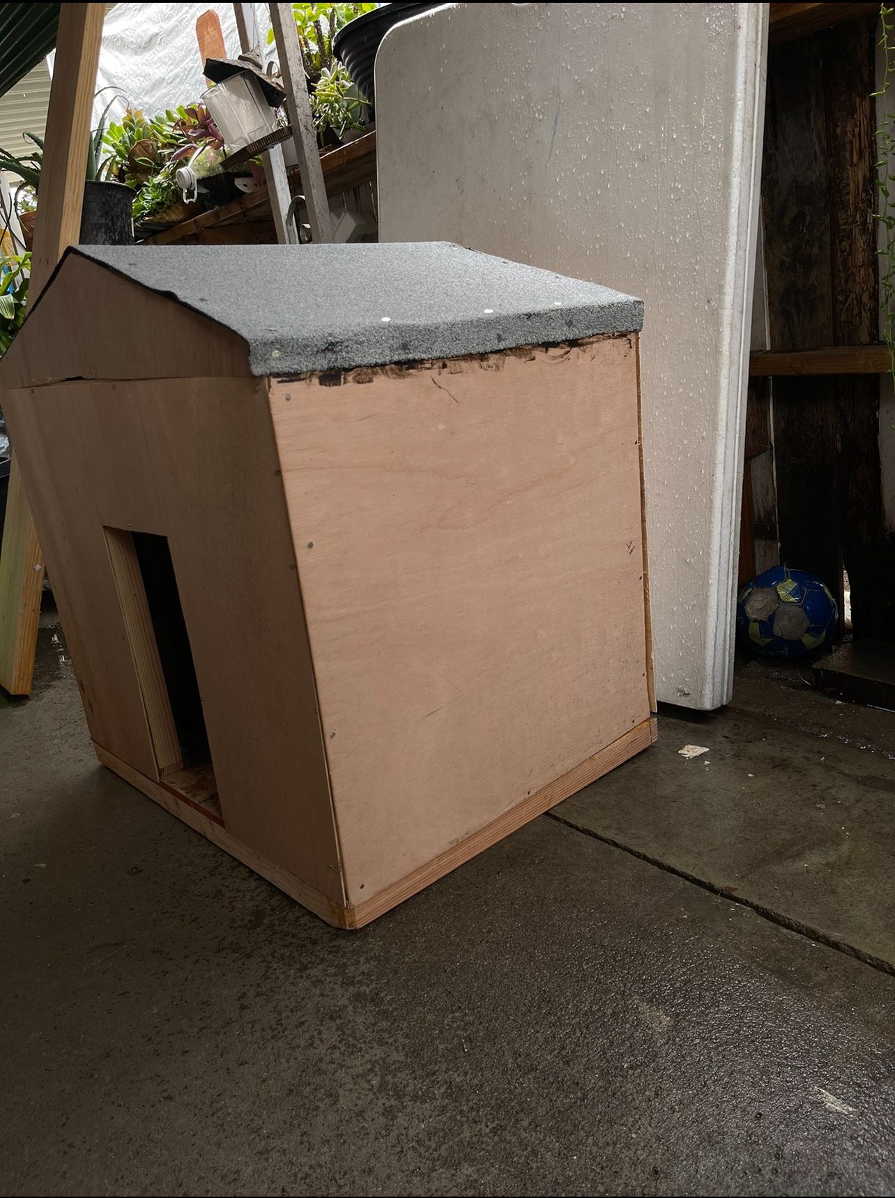 Dog House