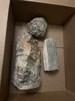 Petrified Forest Rocks