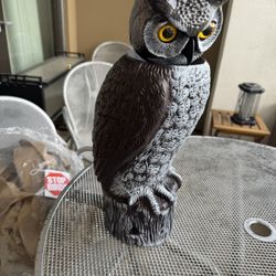 Decoration Dalen Rotating Head Owl - Scarecrow – Bird Control & Pigeon Deterrent! $30 OBO 