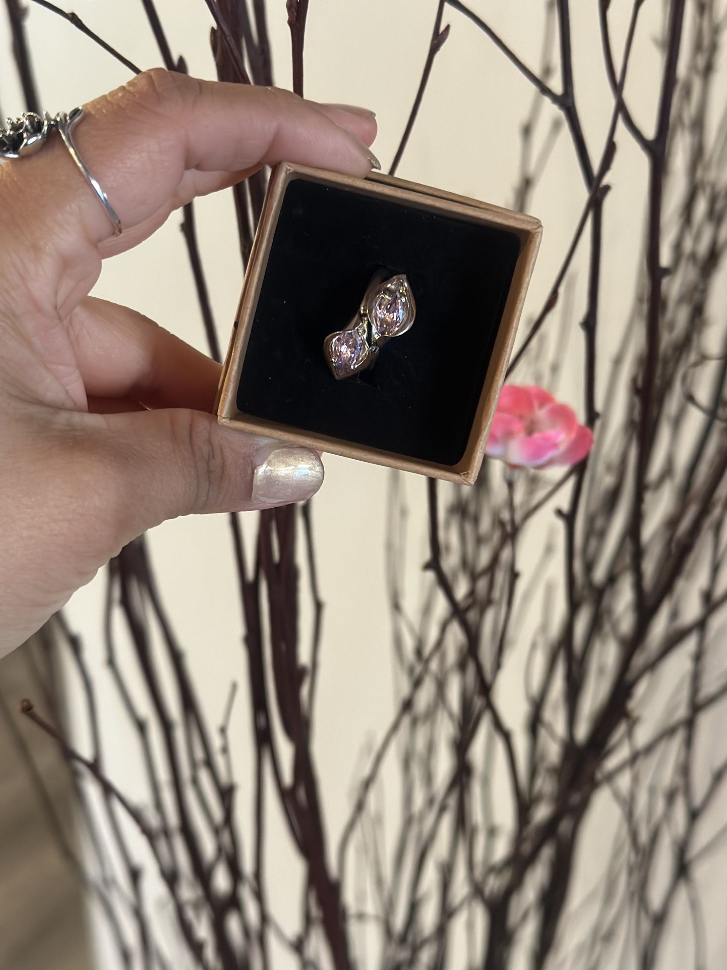 Anillo