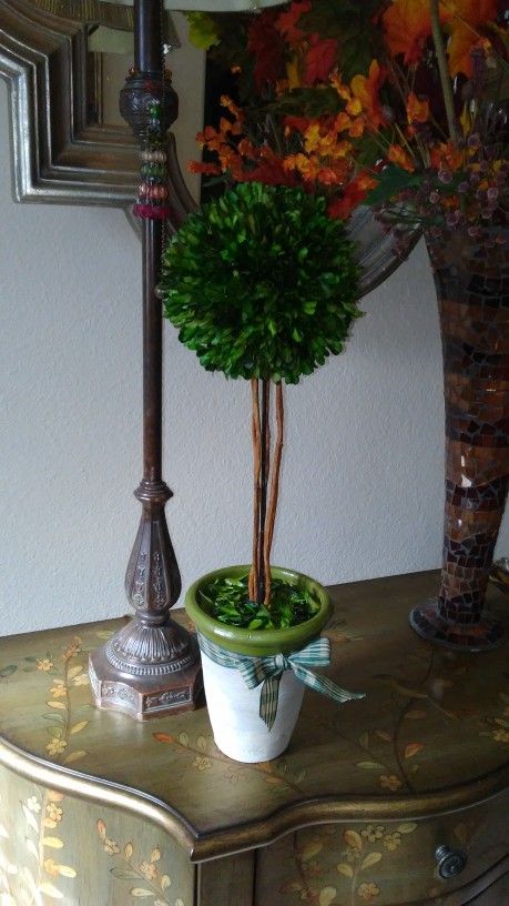 21" Boxwood Topiary