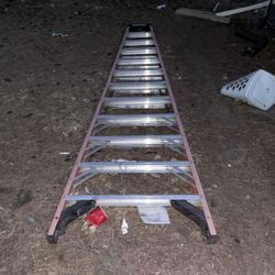 Tall Werner Ladder 