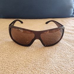 Dragon Recruit Sunglasses