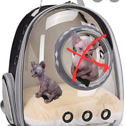 Sphynx girl items for sphynx girl