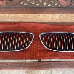 BMW Grills
