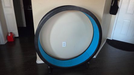 One Fast Cat Exercise Wheel