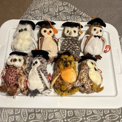 Ty Graduation Beanies Great Easter Gift!!