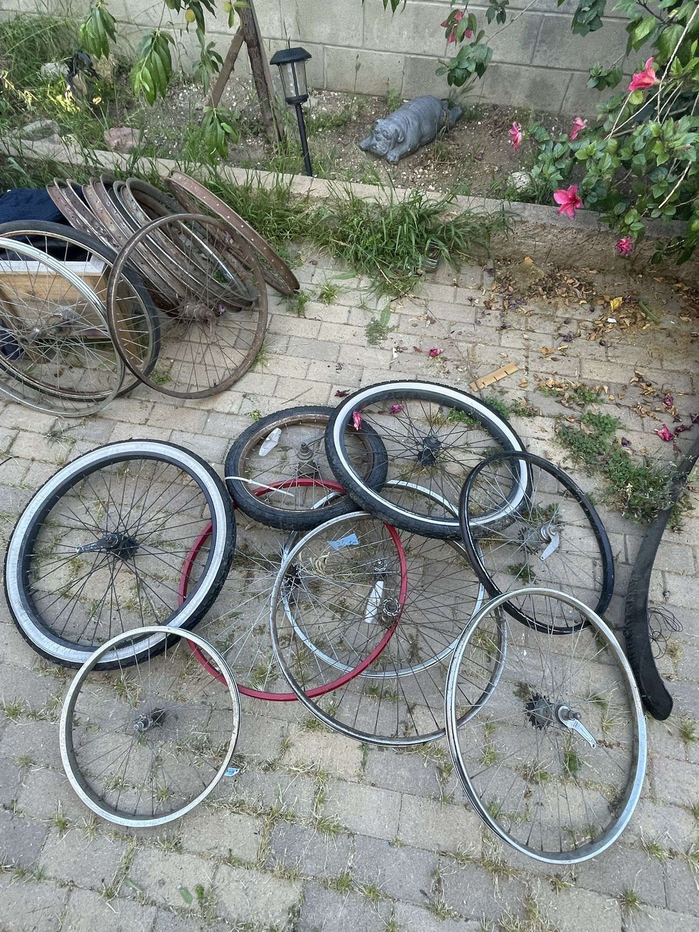 Bicycle Rims 