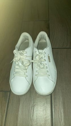 White pumas