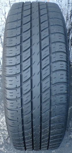 1- Uniroyal TigerPaw 195-65-15