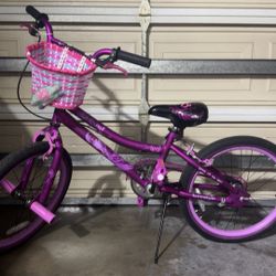 Purple Bike