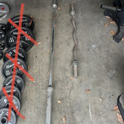 Gym Equipment  Barbell and Curl Bar