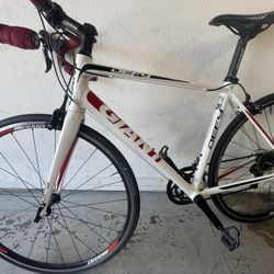 Giant Road Bike 