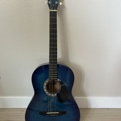 Rogue Starter Acoustic Guitar