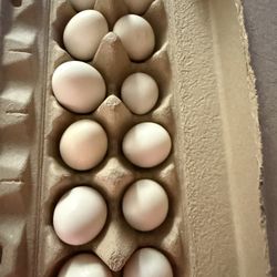 Batam Eggs