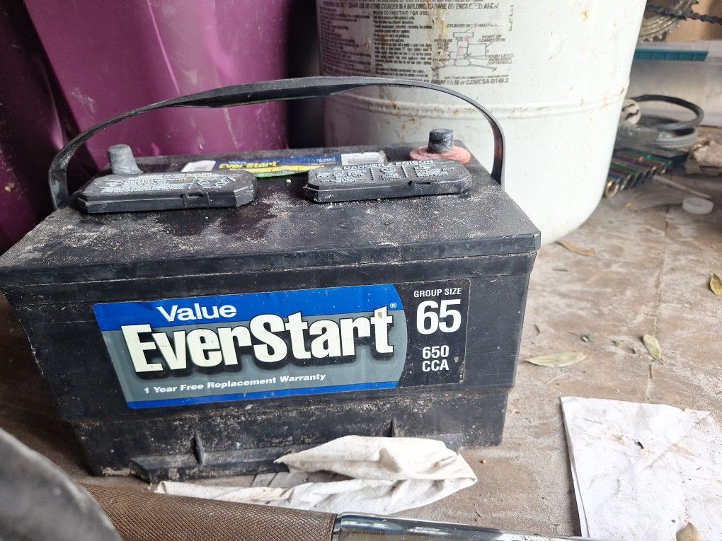 Everstart Groupsize 65, 650cca Battery