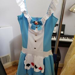 Miss Alice In Wonderland Junior Teen M/L Costume Dress Leg