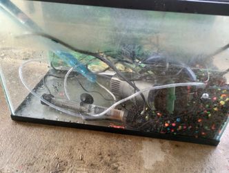10 Gal Fish Tank