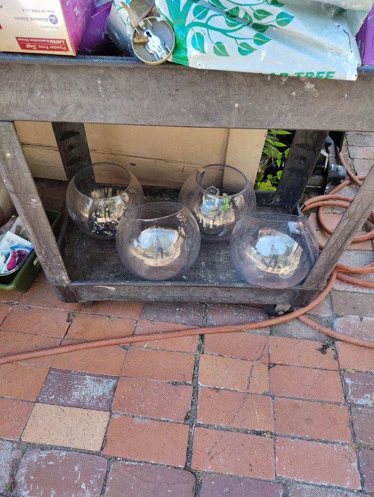 Fish Bowls