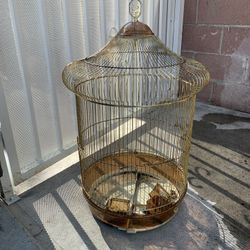 Bird House 