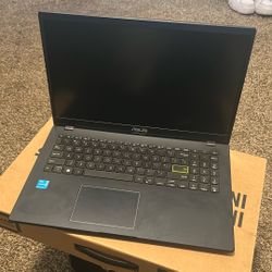ASUS Vivobook Go