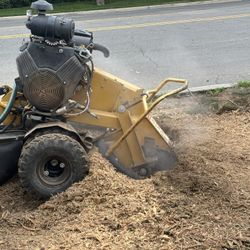 Hello, tomorrow I will walk with the stump Grinder, in case you have a trunk let me know,