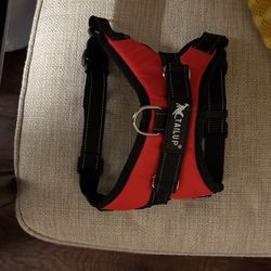 DOG HARNESS 
