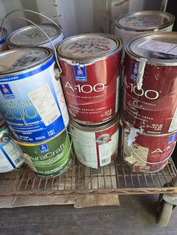 Paint 1 Gallon