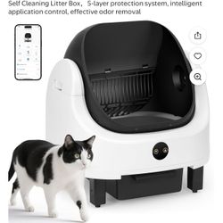 Self Cleaning Litter Box