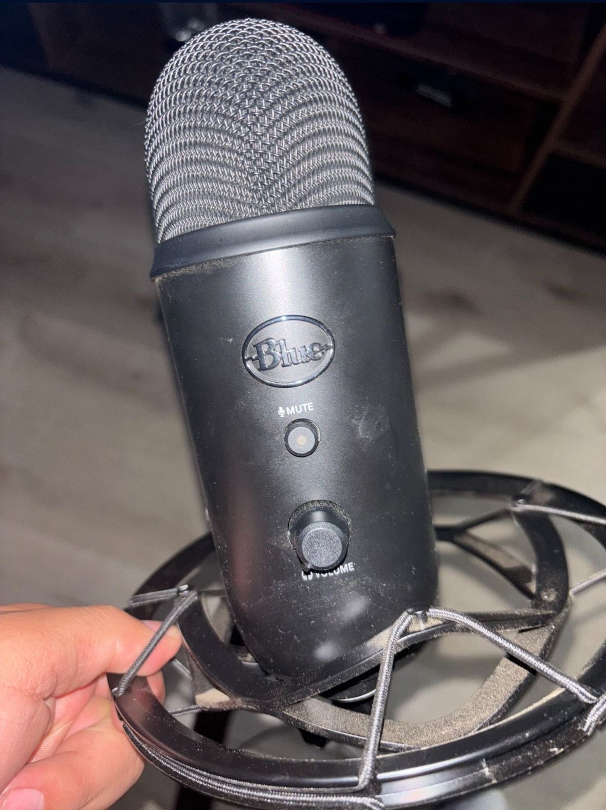 blue yeti mic
