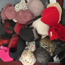 Torrid & Lane Bryant Clothes