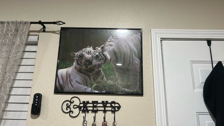 Tiger Framed Photo