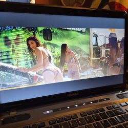 Metallic Toshiba Laptop With Carry Case NEW Battery Can Deliver!