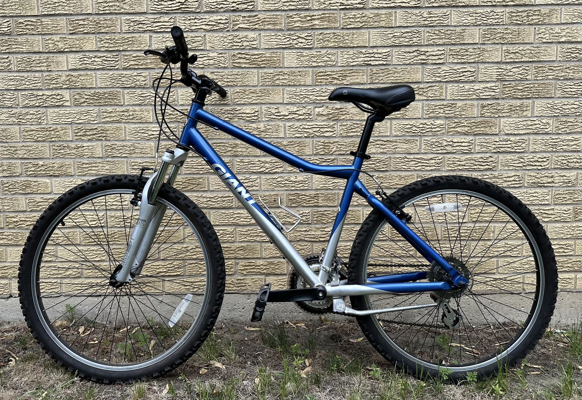 Giant Boulder Mountain Bike 18” Frame 21 Speed