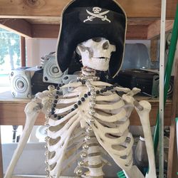 Full Size Skeleton Pirate 