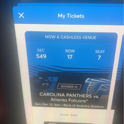 Panthers Vs Atlanta 2 Tickets Total $100 