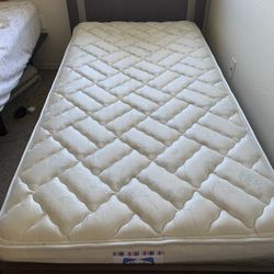 Free Twin Mattress 