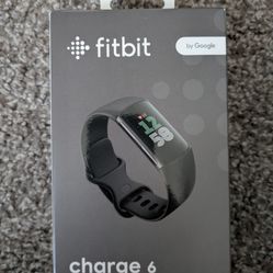 Fitbit Charge 6 Charger + Band