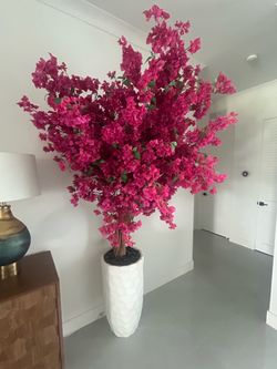 Bouganvillea with Planter