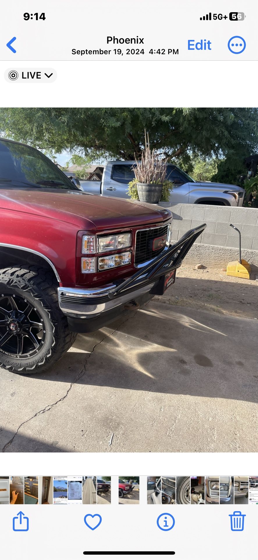 Chevy Bush Guard