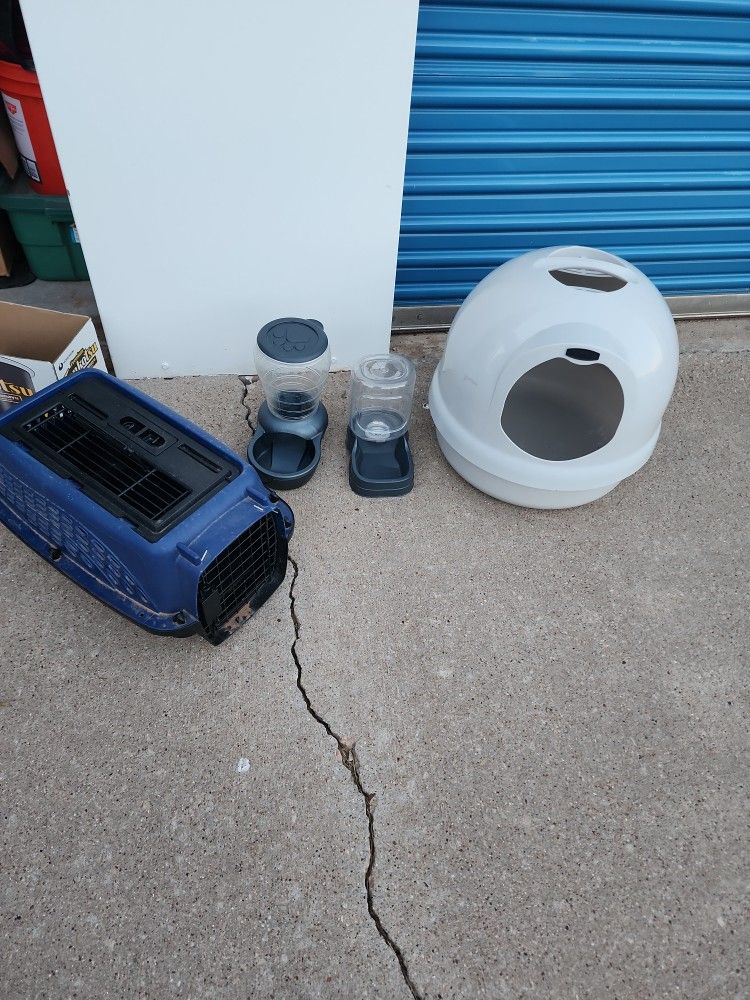 Cat Setup