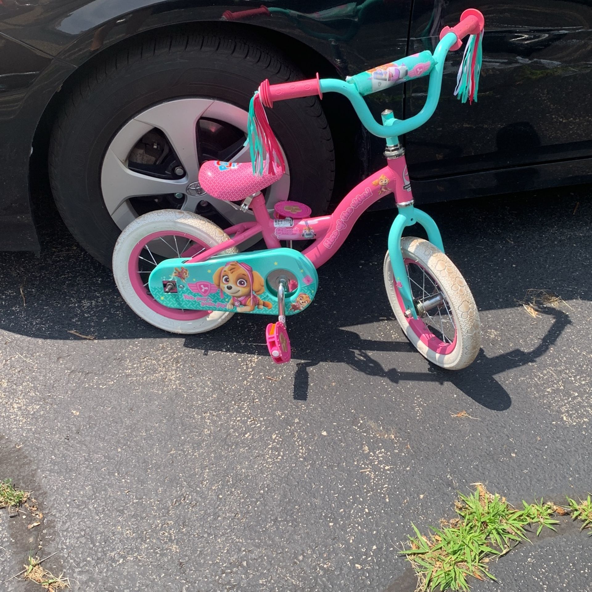 Paw Patrol Bike