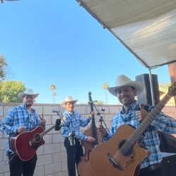 Música En Vivo Grupo 