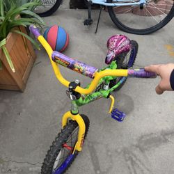Ninja Turtle Bike 