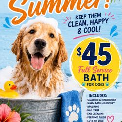 $45 Full Service Baths (Pembroke Pines) 