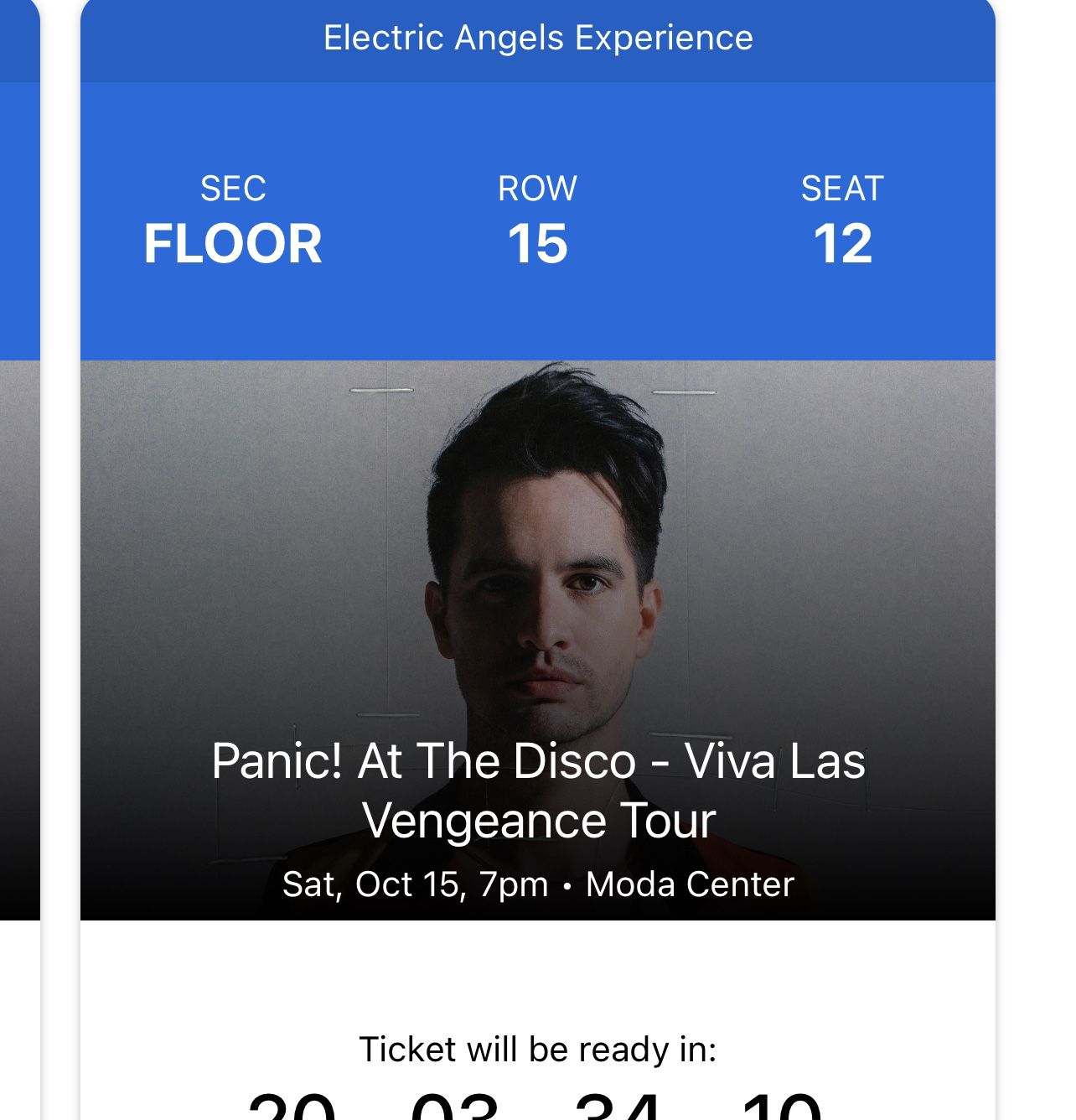 Panic! At The Disco Ticket 