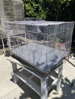 Bird Cage