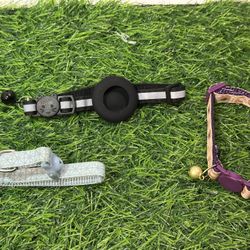 Cat / Kitten Collars Lot 