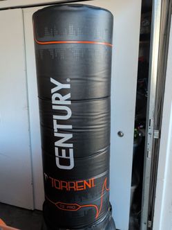 Punching Bag $75
