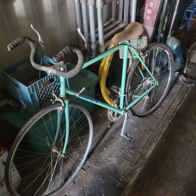 Vintage Bianchi Bicycle 1973